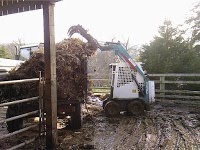 J M Ely. Bobcat, Skid Steer, Hire 368932 Image 5